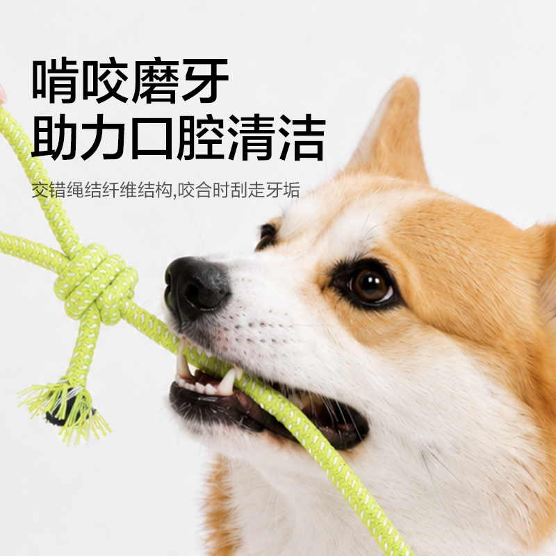 得力Bembam_BM801_耐咬解悶繩結玩具5件套(混)(包)