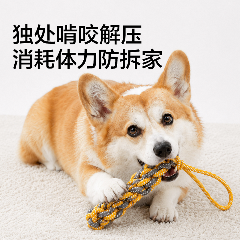 得力Bembam_BM801_耐咬解悶繩結玩具5件套(混)(包)