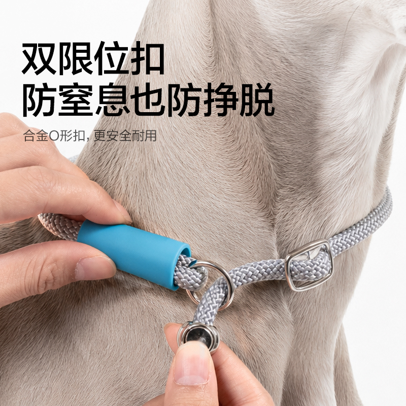 得力Bembam_BM504_1.5m標準款寵物P繩(橙)(個)