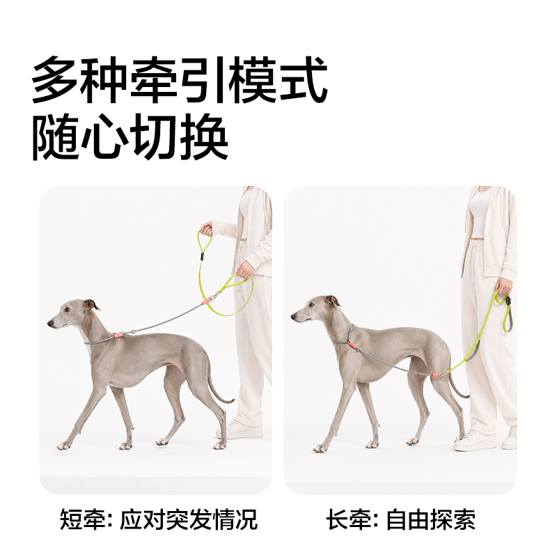 得力Bembam_BM504_1.5m標準款寵物P繩(橙)(個)