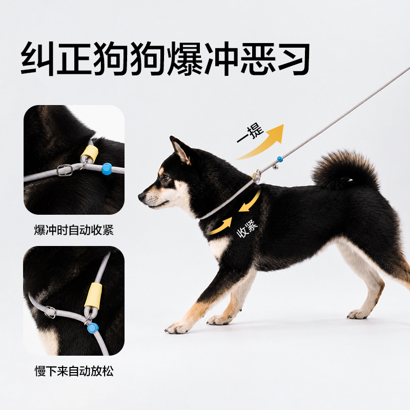 得力Bembam_BM503_1.5m基礎款寵物P繩(橙)(個)